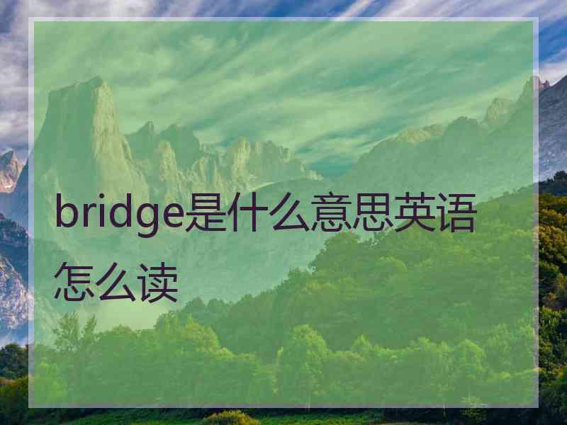 bridge是什么意思英语怎么读