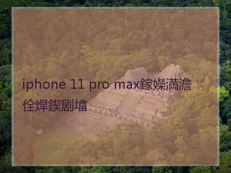 iphone 11 pro max鎵嬫満澹佺焊鍥剧墖