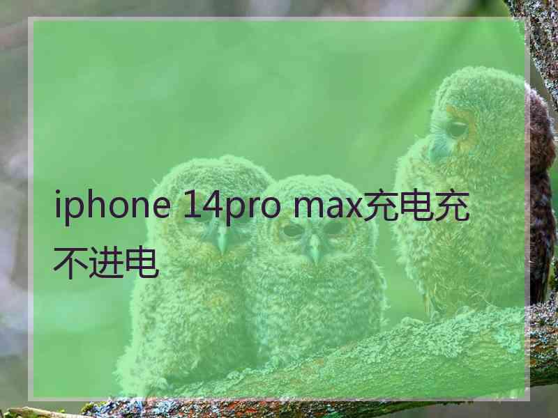 iphone 14pro max充电充不进电