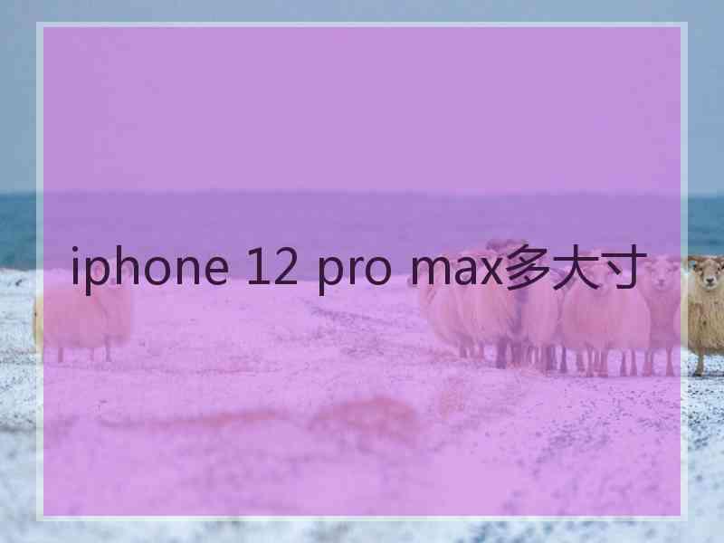 iphone 12 pro max多大寸