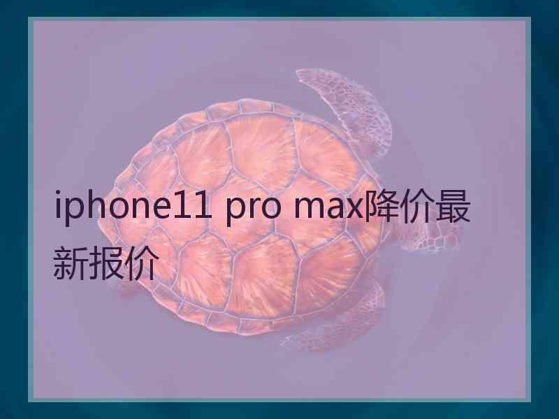 iphone11 pro max降价最新报价