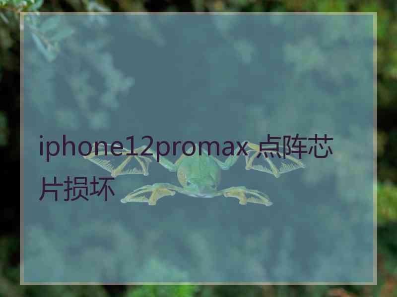 iphone12promax 点阵芯片损坏