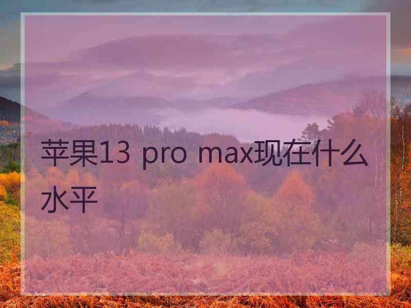 苹果13 pro max现在什么水平