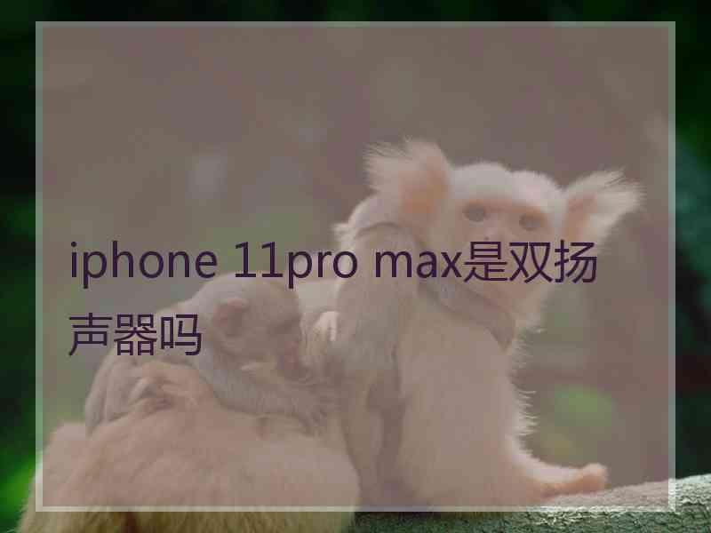 iphone 11pro max是双扬声器吗