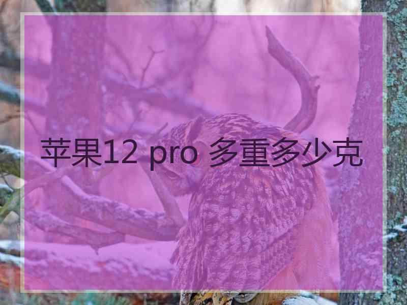 苹果12 pro 多重多少克