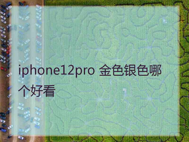 iphone12pro 金色银色哪个好看