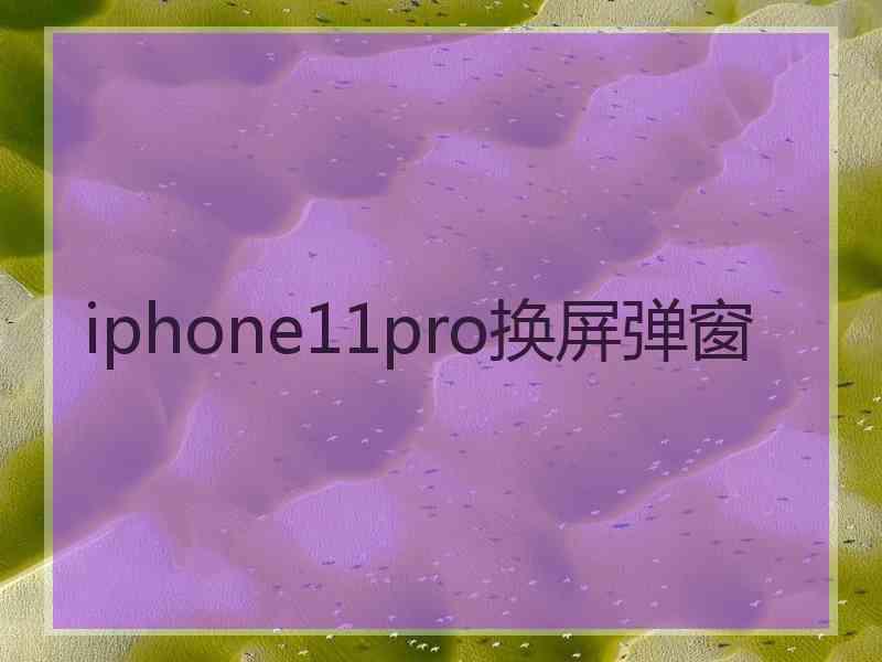 iphone11pro换屏弹窗