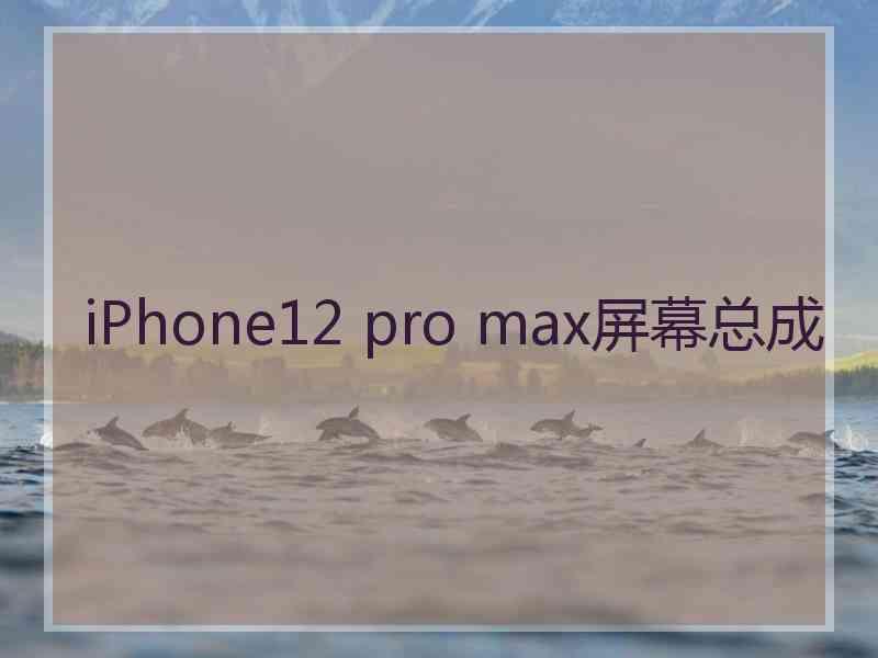 iPhone12 pro max屏幕总成