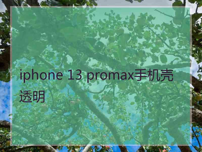 iphone 13 promax手机壳透明