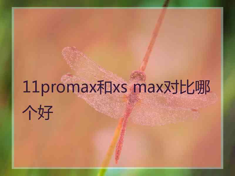 11promax和xs max对比哪个好