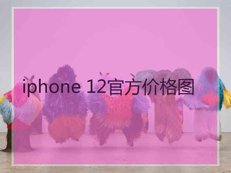 iphone 12官方价格图