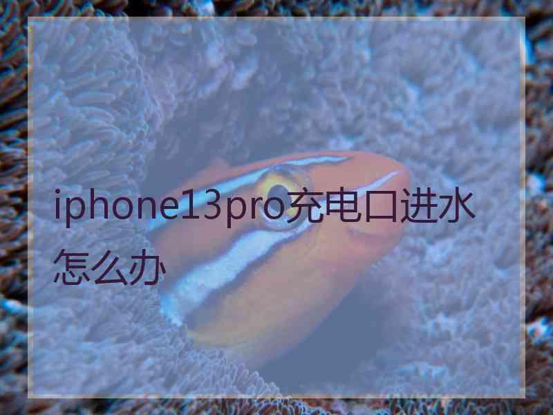 iphone13pro充电口进水怎么办