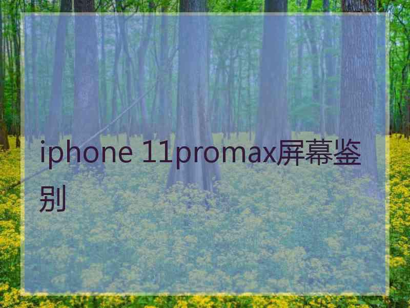 iphone 11promax屏幕鉴别