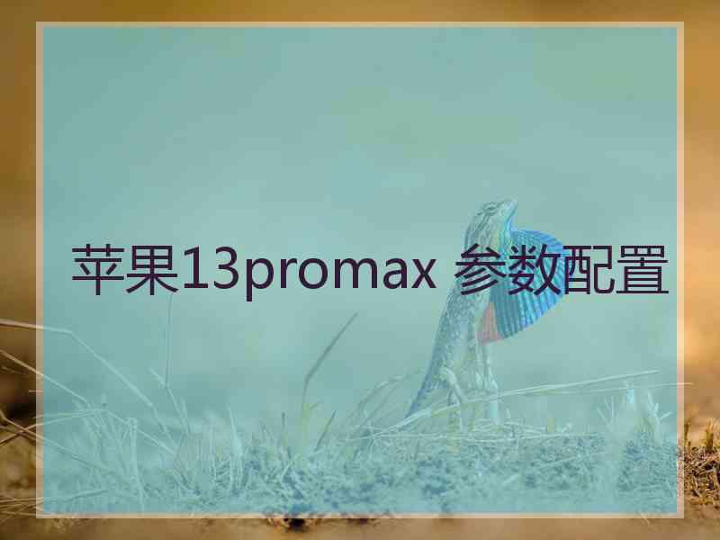 苹果13promax 参数配置