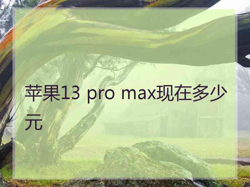 苹果13 pro max现在多少元