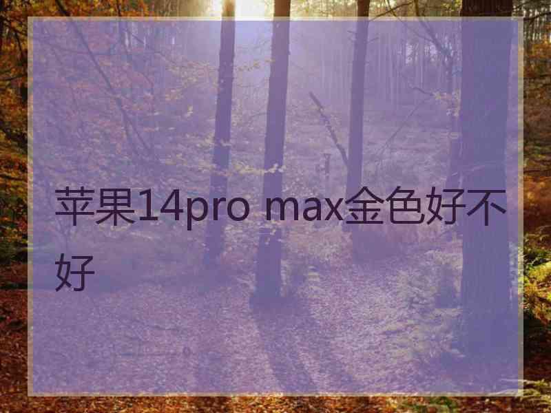 苹果14pro max金色好不好