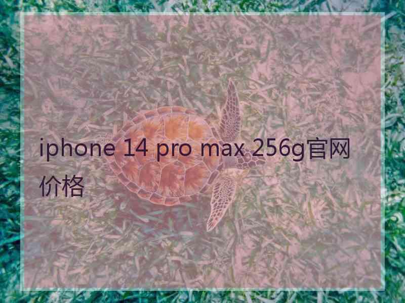 iphone 14 pro max 256g官网价格