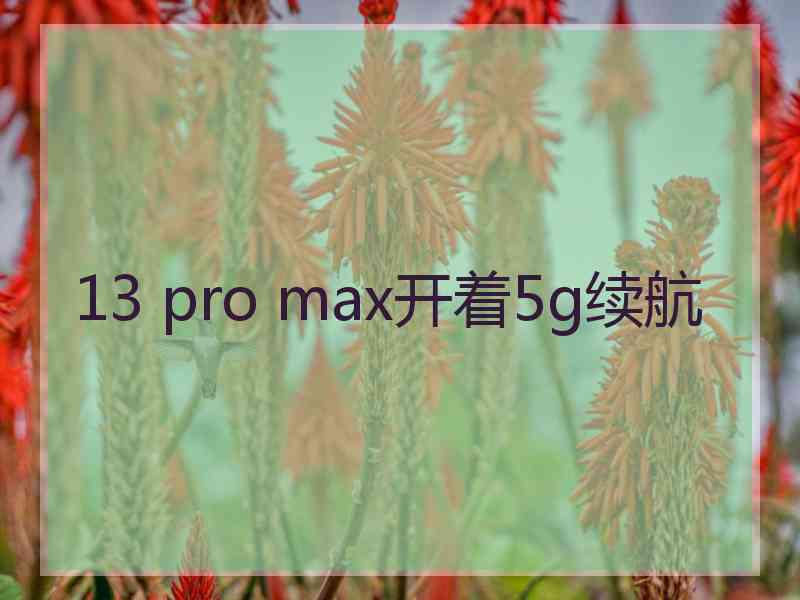 13 pro max开着5g续航