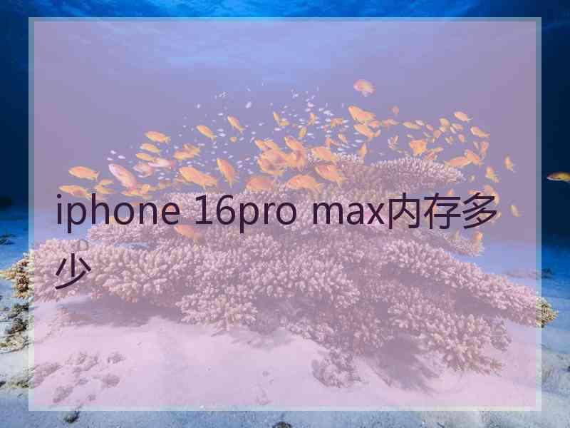 iphone 16pro max内存多少