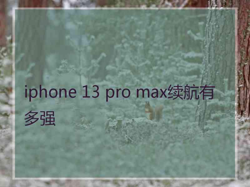 iphone 13 pro max续航有多强