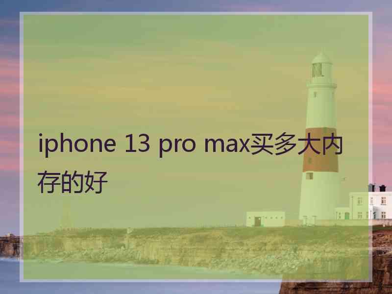 iphone 13 pro max买多大内存的好