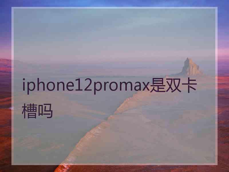 iphone12promax是双卡槽吗