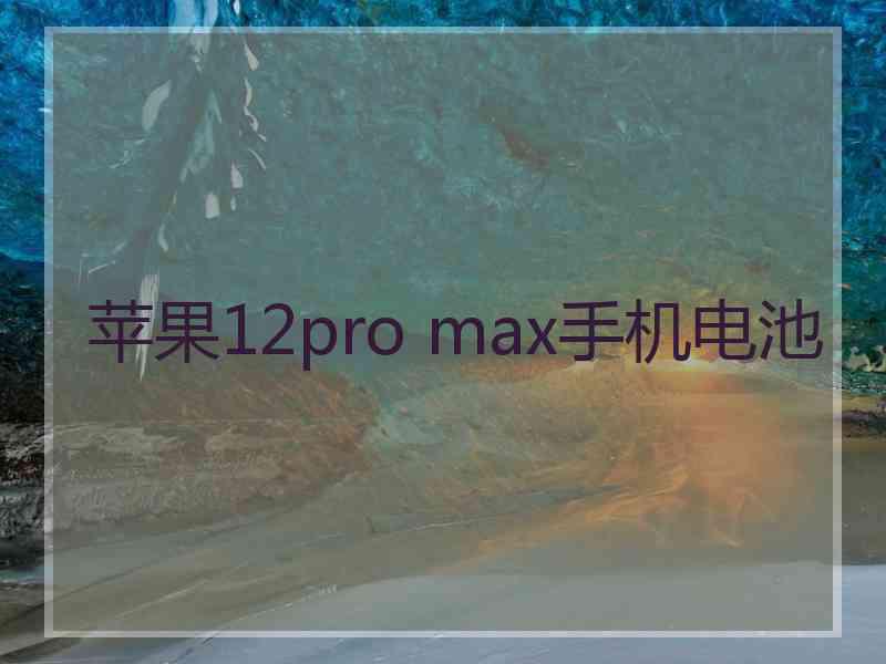 苹果12pro max手机电池