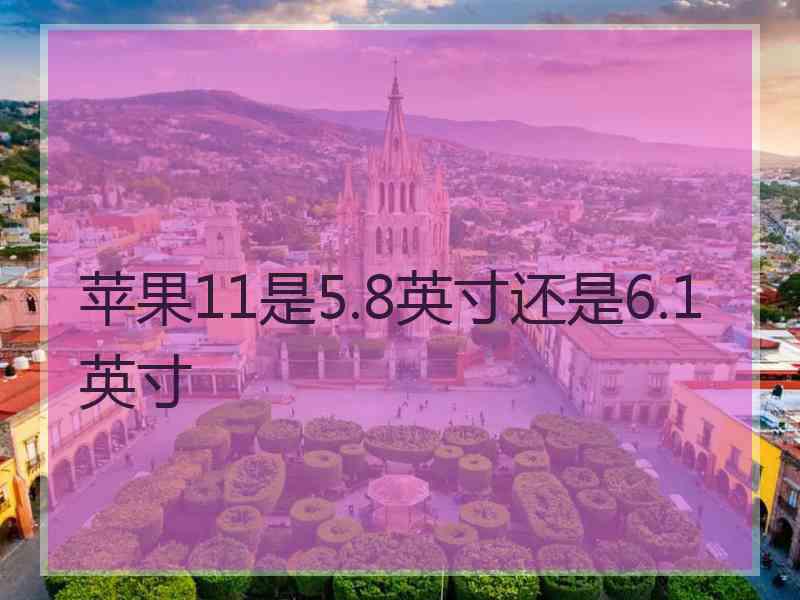 苹果11是5.8英寸还是6.1英寸