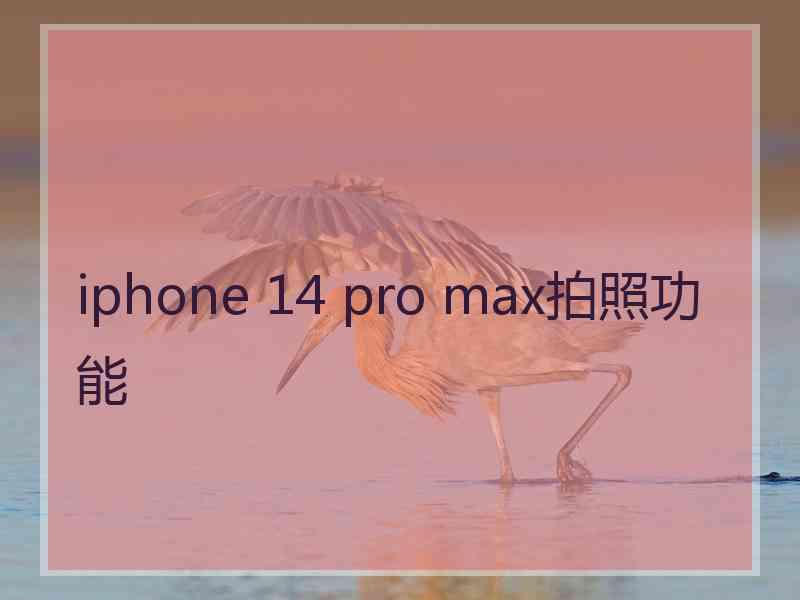 iphone 14 pro max拍照功能