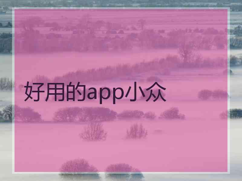 好用的app小众