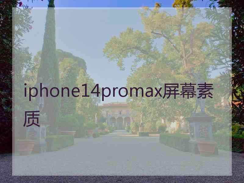 iphone14promax屏幕素质