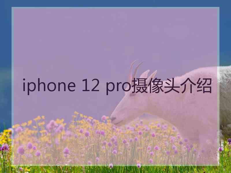 iphone 12 pro摄像头介绍