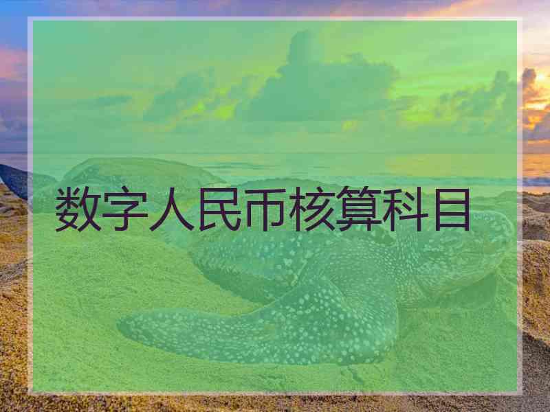 数字人民币核算科目