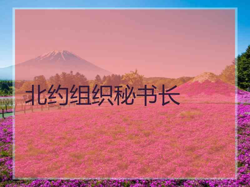 北约组织秘书长