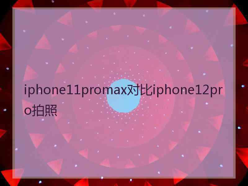 iphone11promax对比iphone12pro拍照