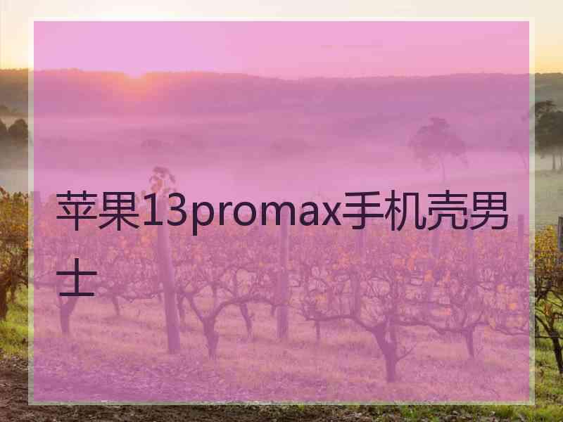 苹果13promax手机壳男士