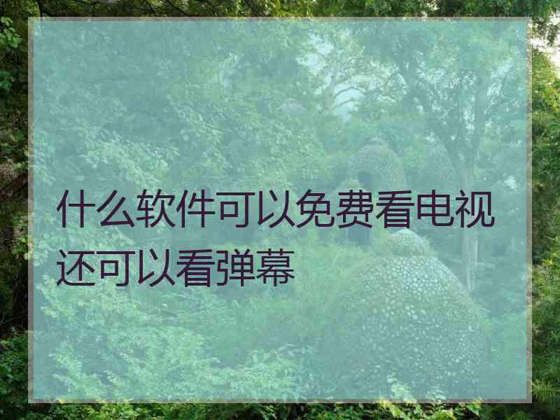 什么软件可以免费看电视还可以看弹幕