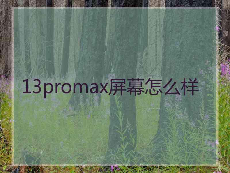 13promax屏幕怎么样