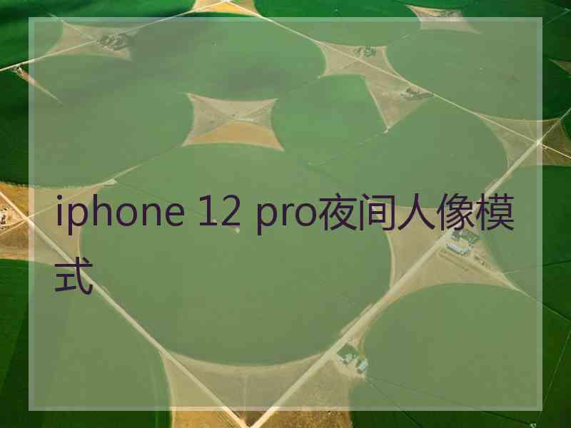 iphone 12 pro夜间人像模式