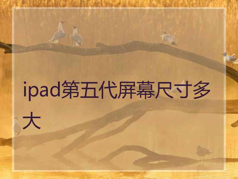 ipad第五代屏幕尺寸多大