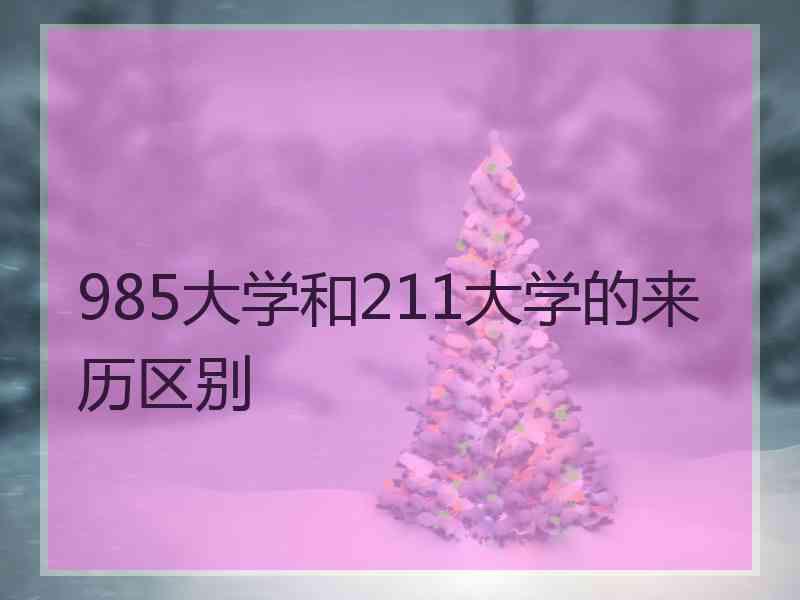 985大学和211大学的来历区别