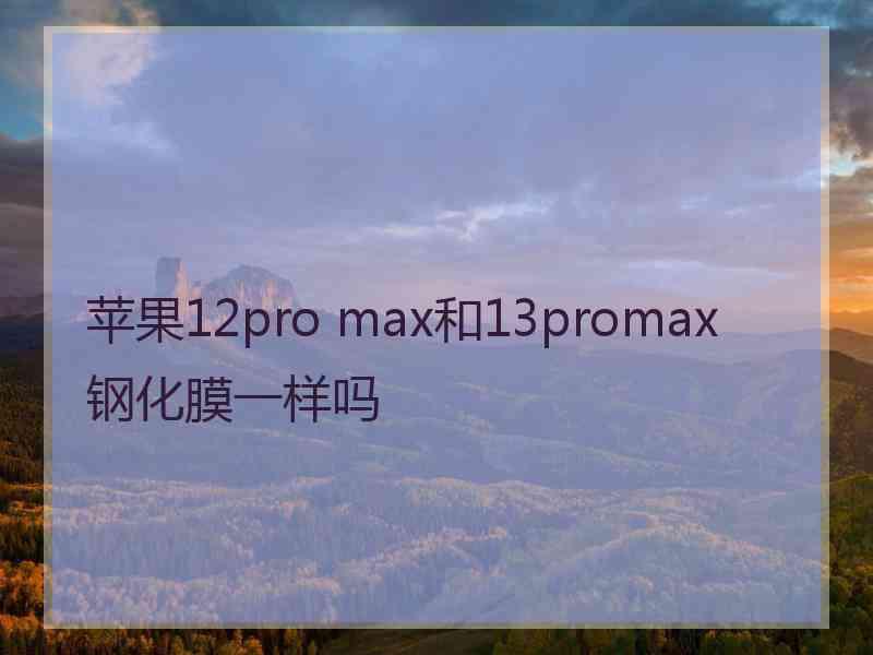 苹果12pro max和13promax钢化膜一样吗