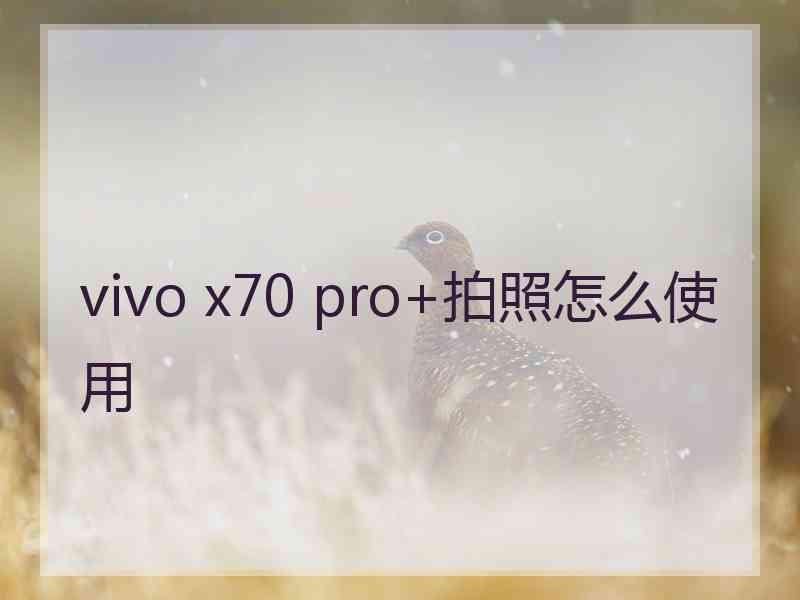 vivo x70 pro+拍照怎么使用