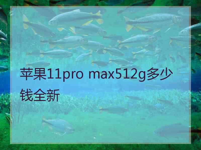 苹果11pro max512g多少钱全新