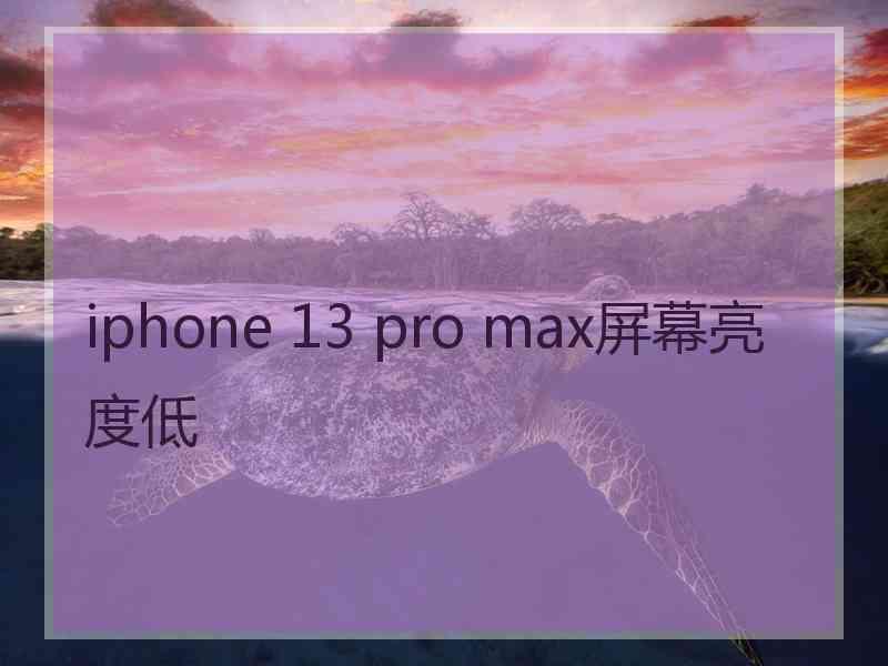 iphone 13 pro max屏幕亮度低