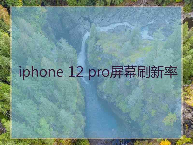 iphone 12 pro屏幕刷新率