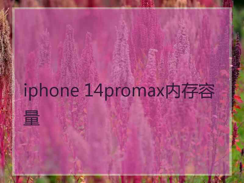 iphone 14promax内存容量