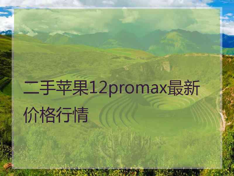 二手苹果12promax最新价格行情