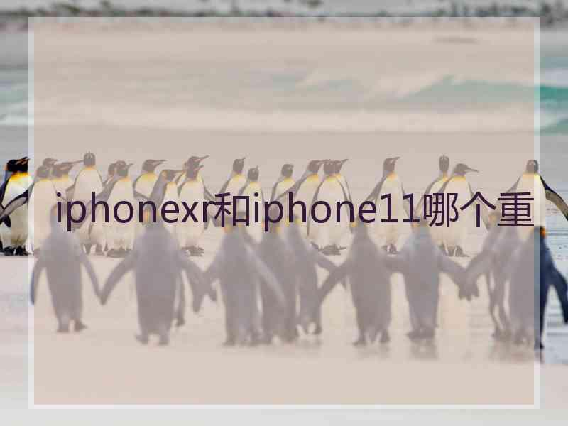 iphonexr和iphone11哪个重