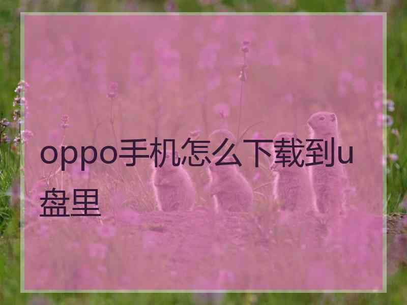 oppo手机怎么下载到u盘里